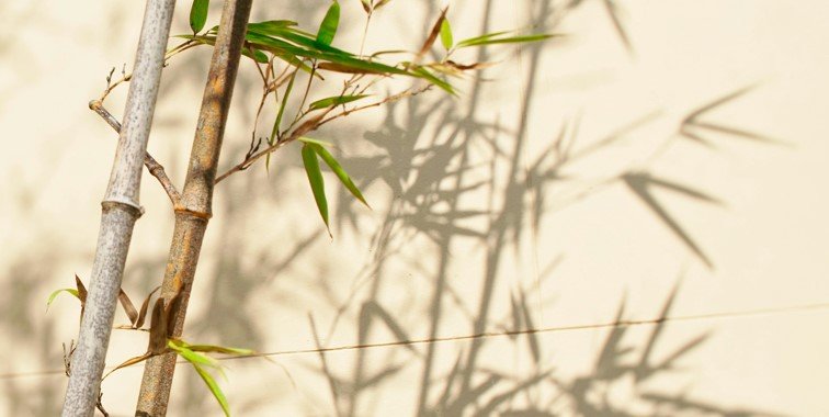 EcoFreshly