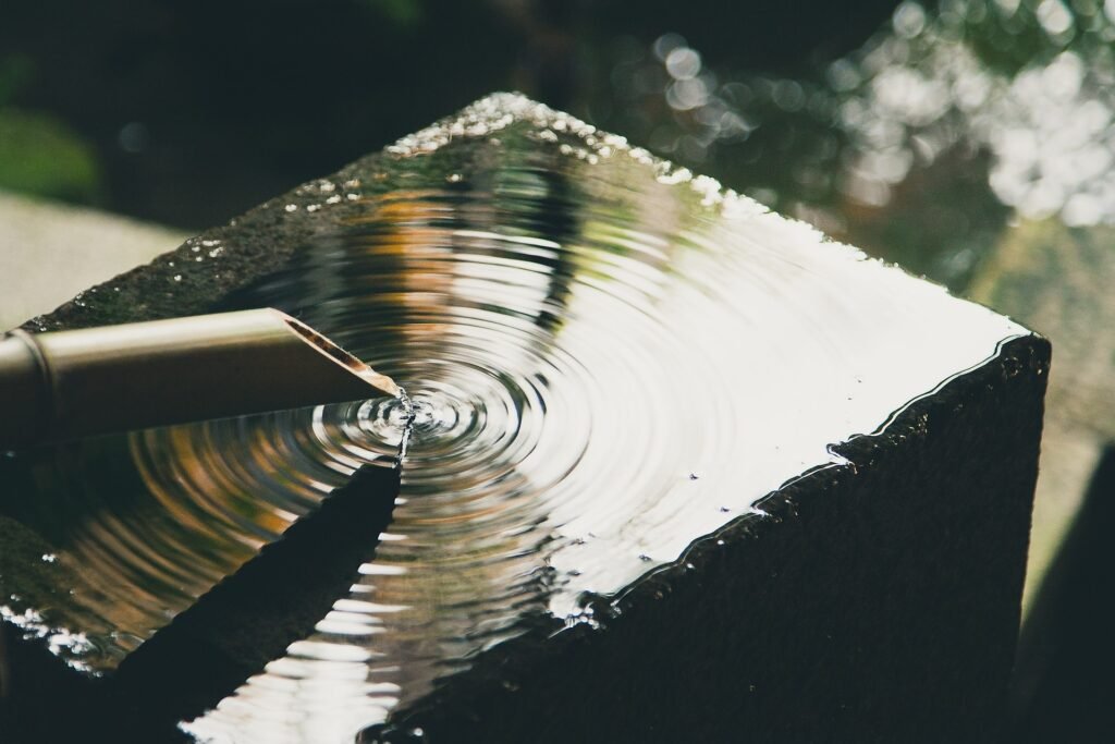 EcoFreshly