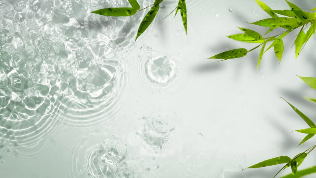 EcoFreshly